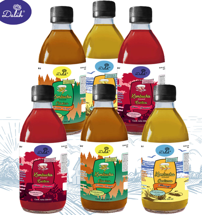 Botellas de kombuchas surtida de Dalúh alimentos saludables