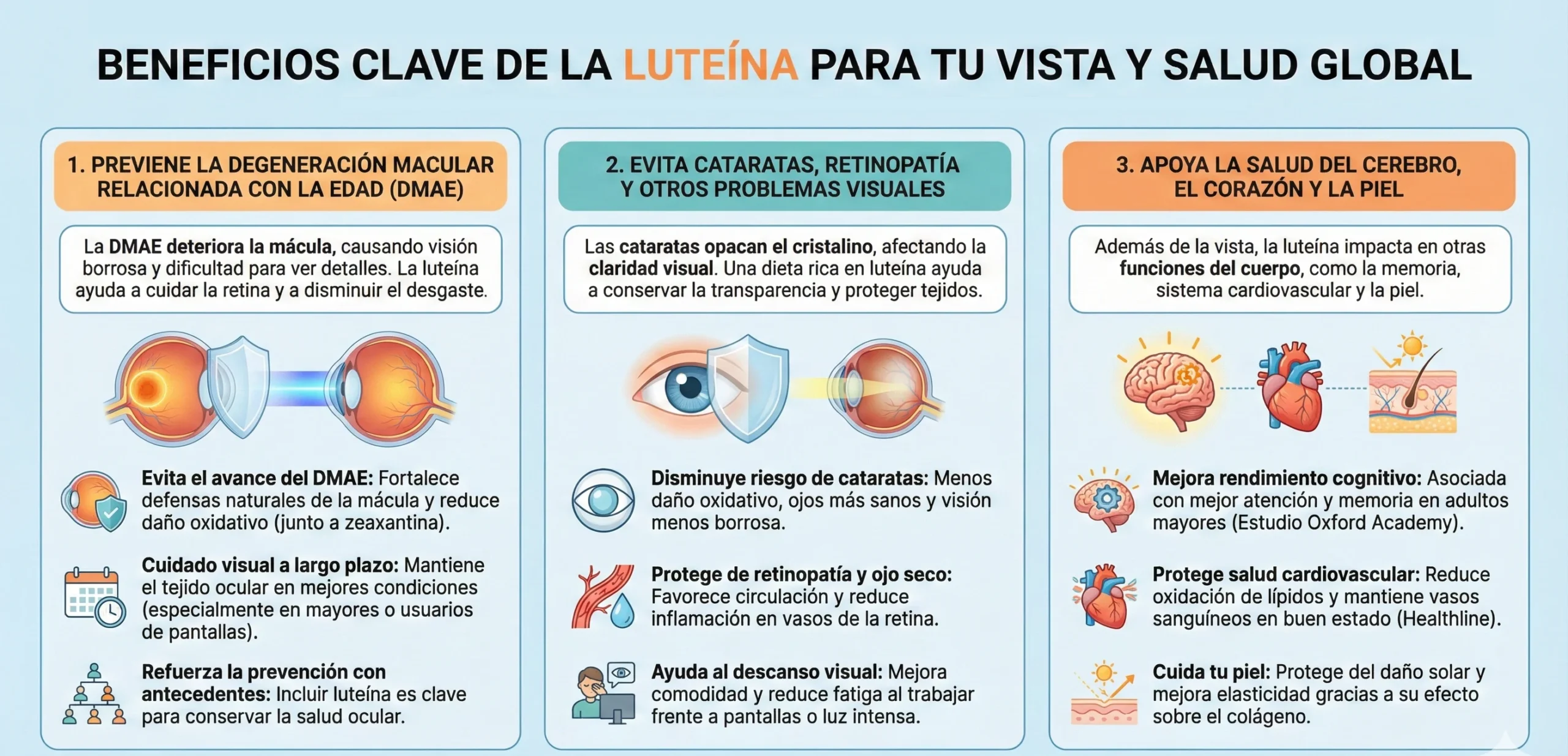 Infografía sobre beneficios de la luteína