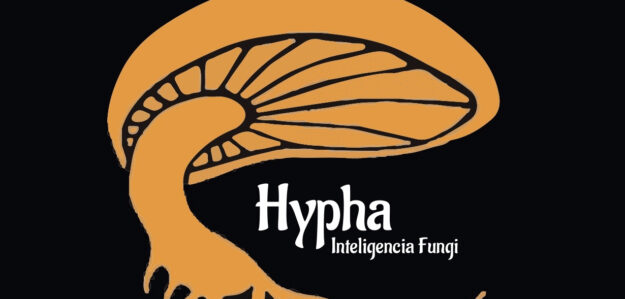 Hypha