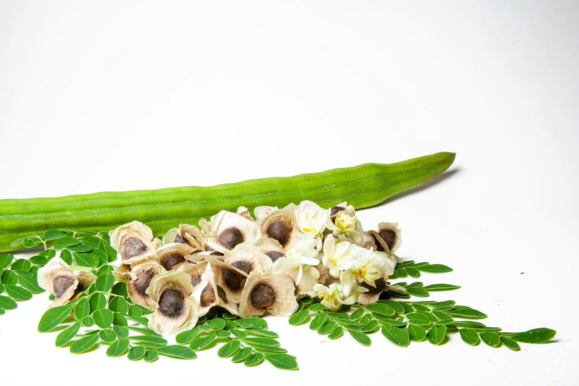 Semillas, hojas, flores y vaina verde de moringa
