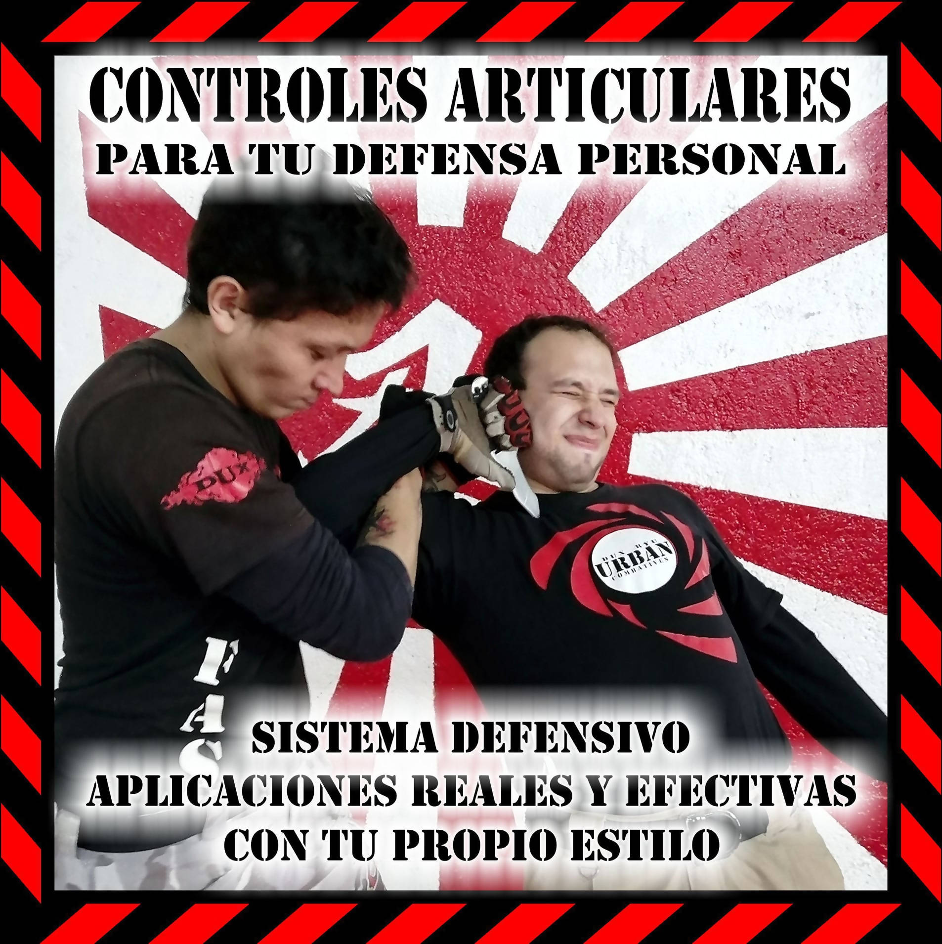 Modulo articular