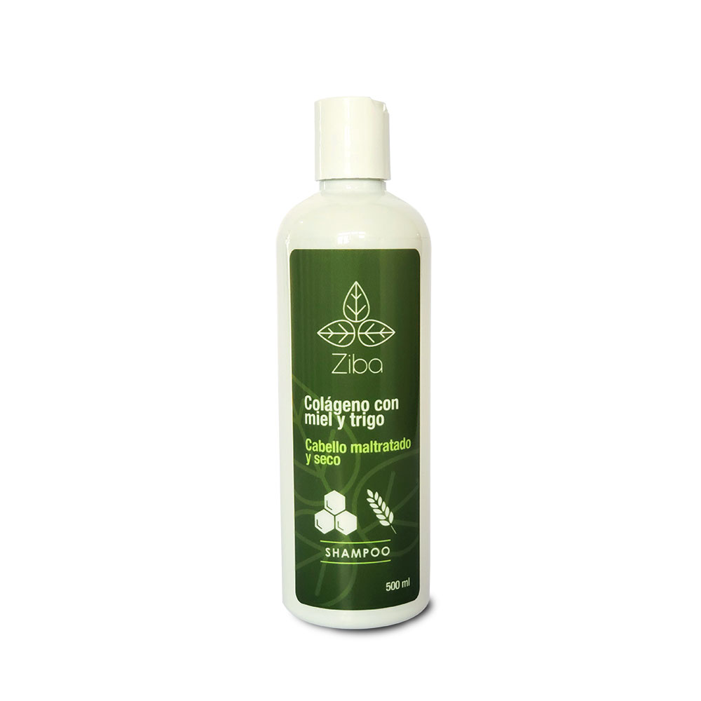 Shampoo cabello maltratado y seco Ziba