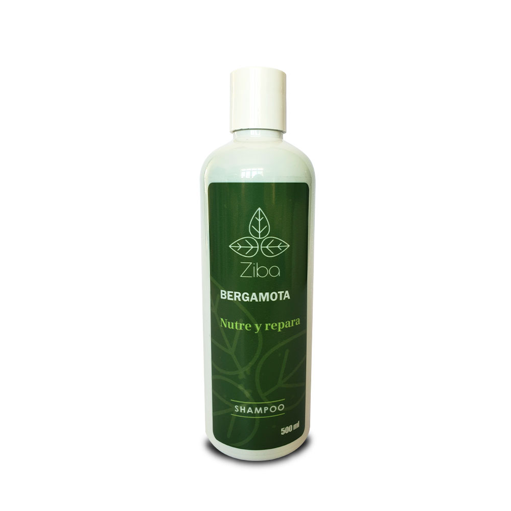 Shampoo nutre y repara