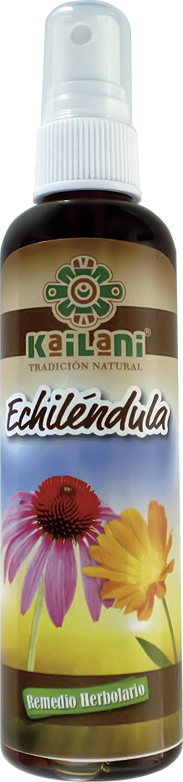 Echilendula