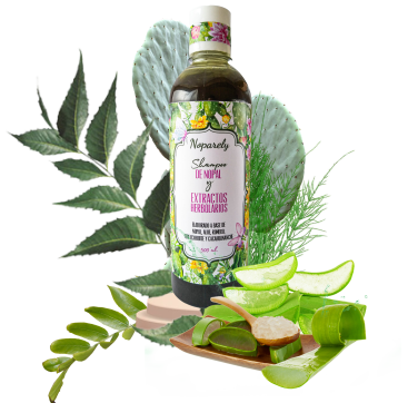 Shampoo de nopal con sábila, romero, miel, tepezcohuite y cacahuananche. 500 ml