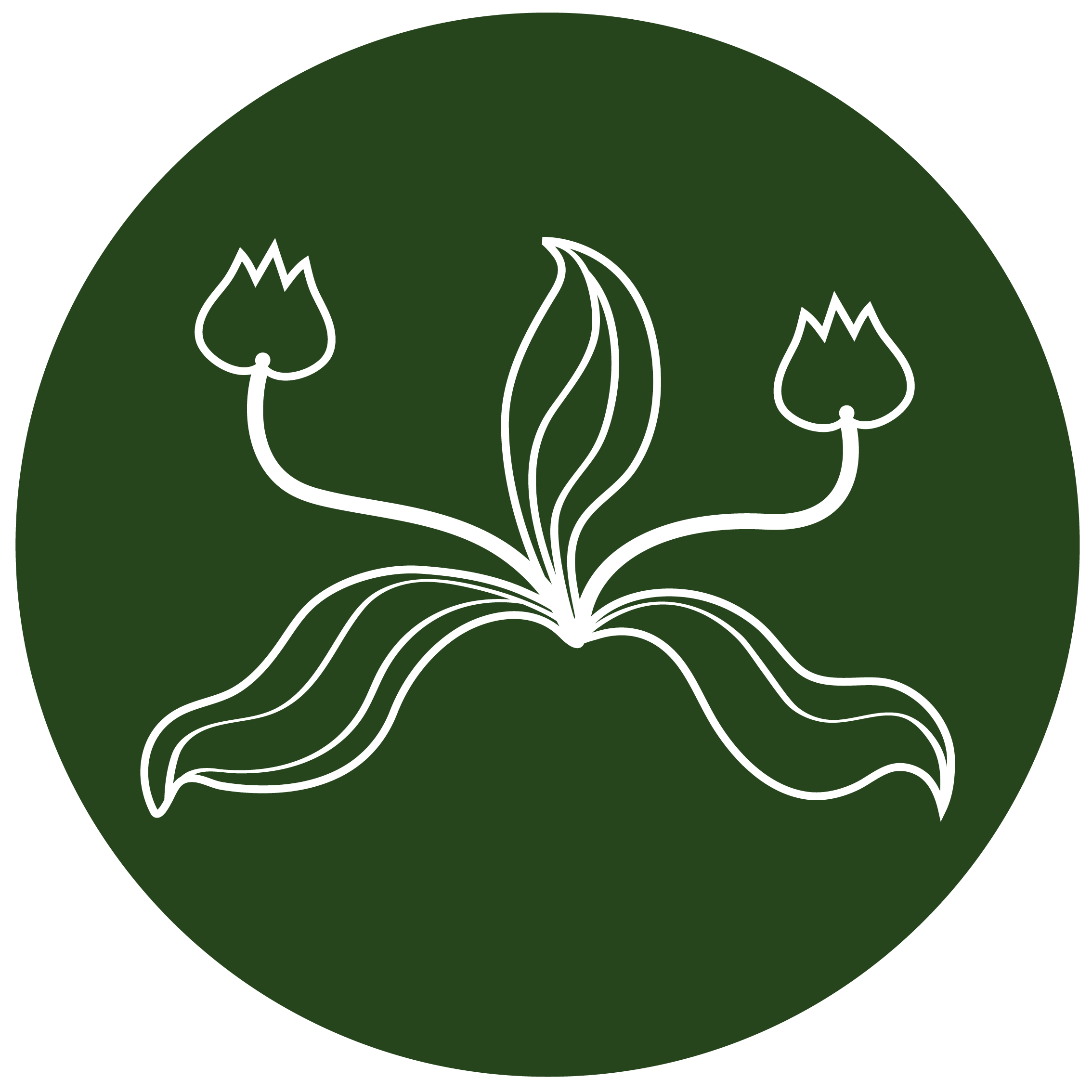 Logo de Invernadero 3