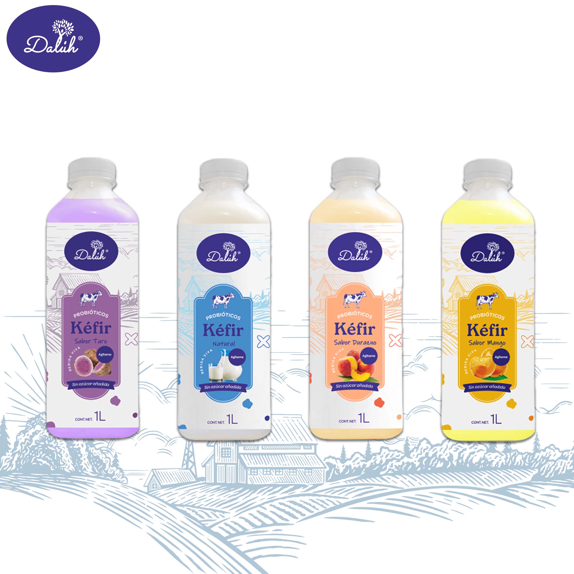 Kefir 1L Dalúh Alimentos Fermentados 4 Pack Surtido