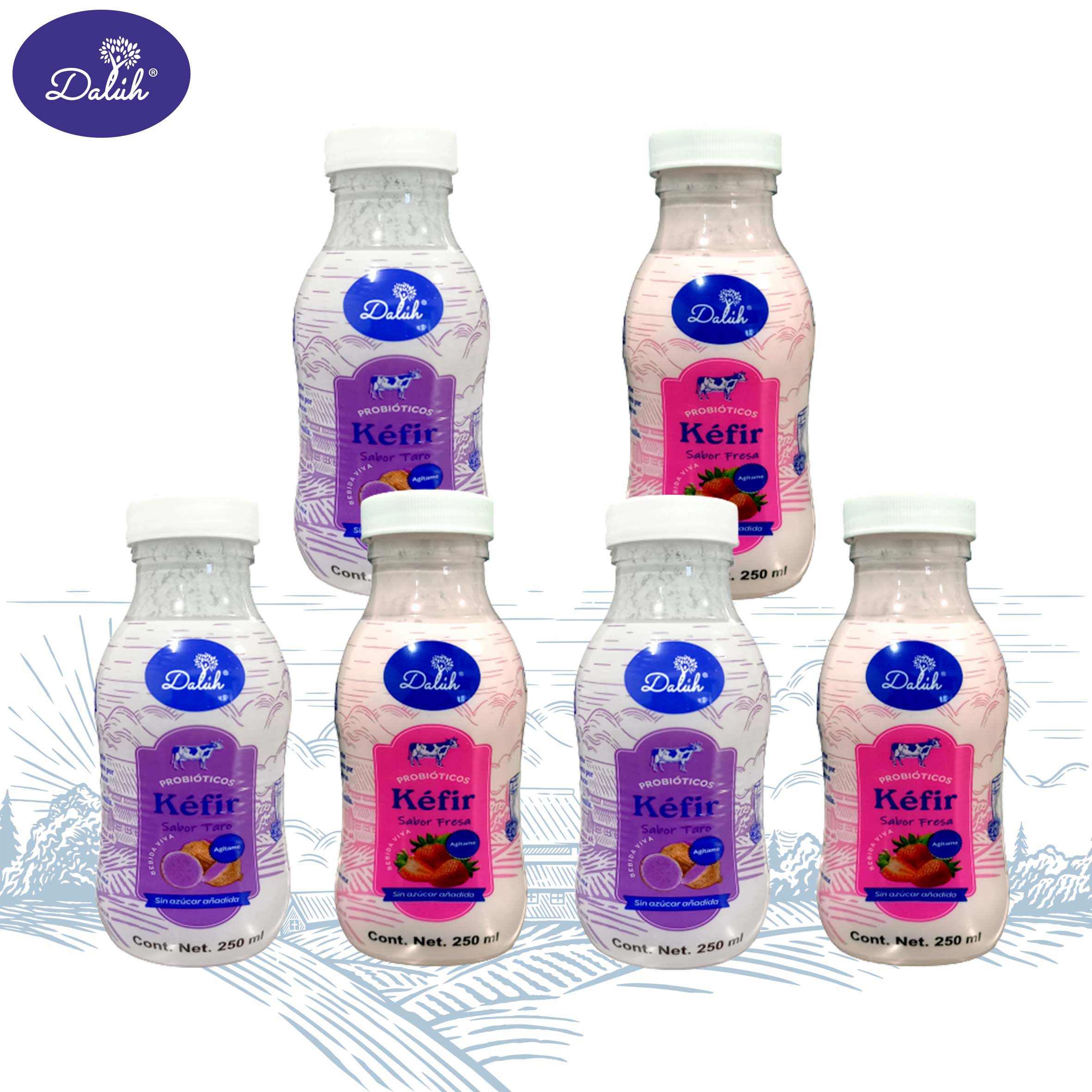 Kefir 250 ml Dalúh Alimentos Fermentados 6 pack Surtido