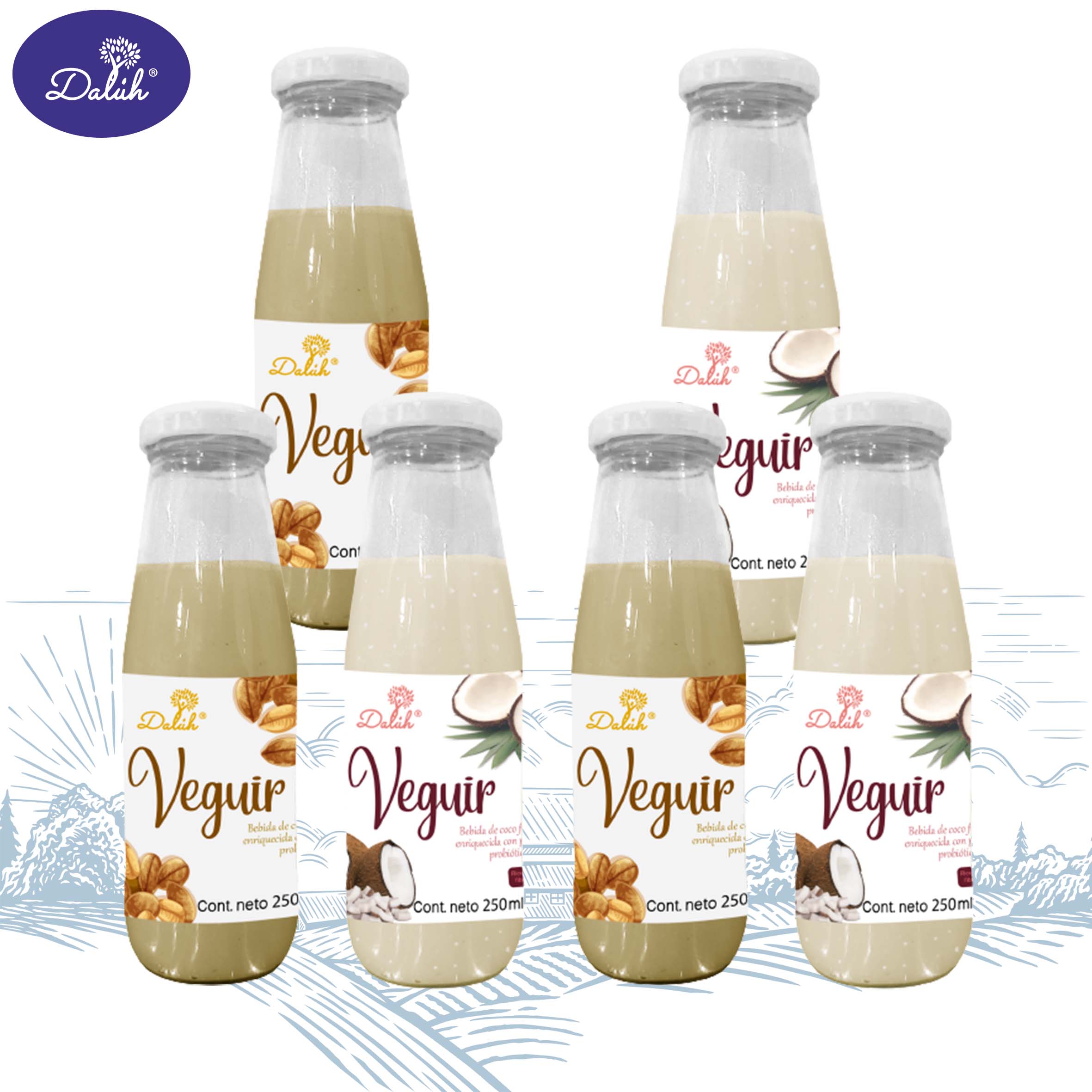 Veguir 250 ml Dalúh Alimentos Fermentados 6 pack