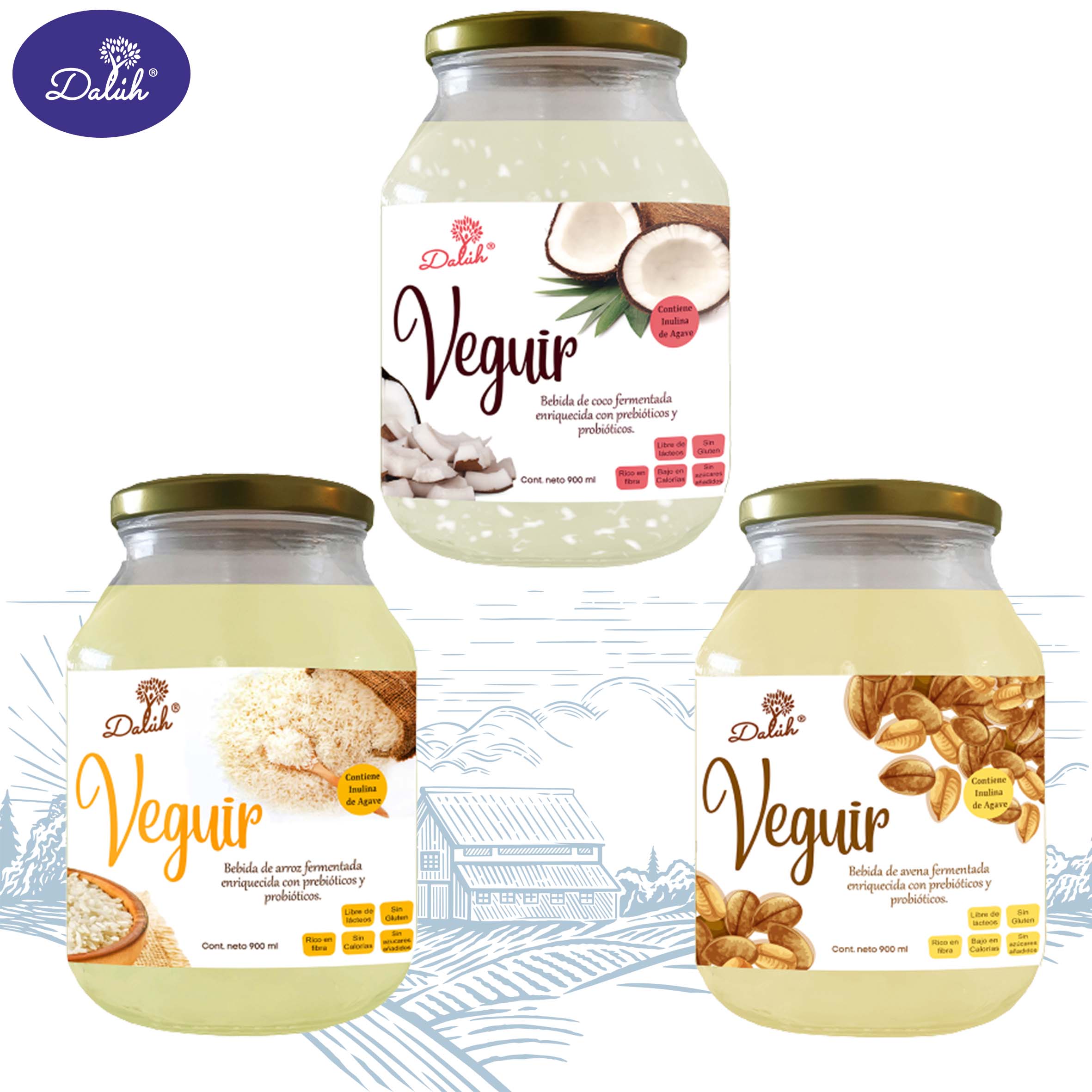Veguir 900 ml Dalúh Alimentos Fermentados 3 Pack