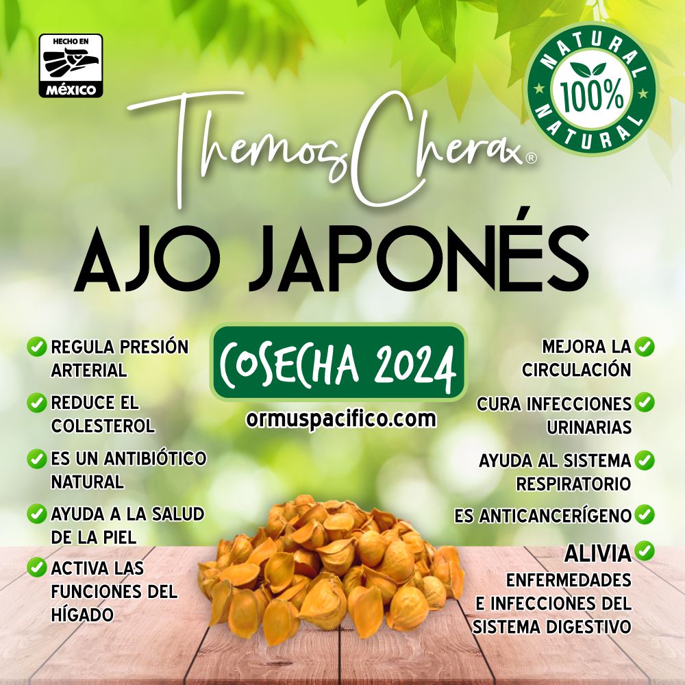 Ajo Japones