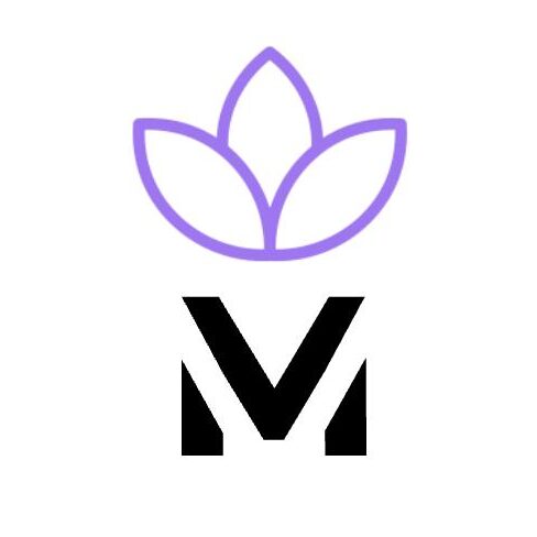 Logo de Dister mx