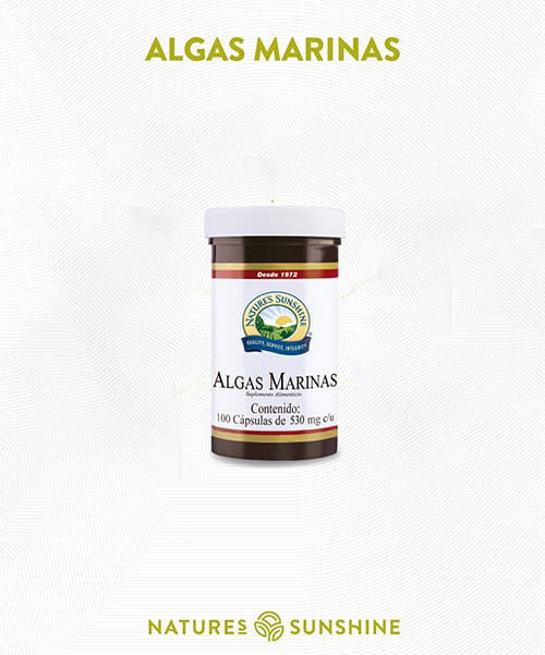 ALGAS MARINAS